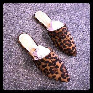 VICI Leopard Mules